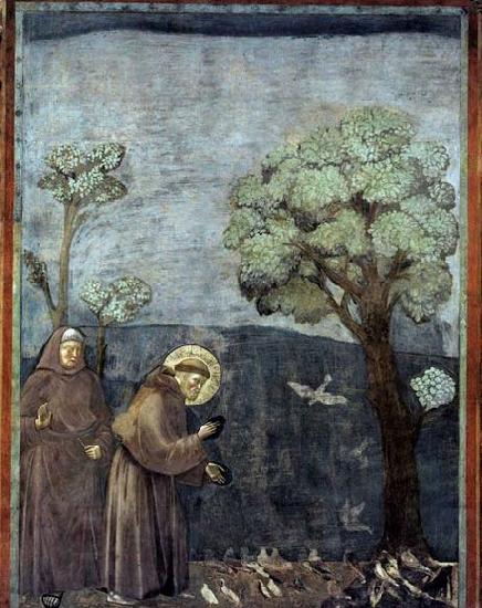 GIOTTO di Bondone Sermon to the Birds
